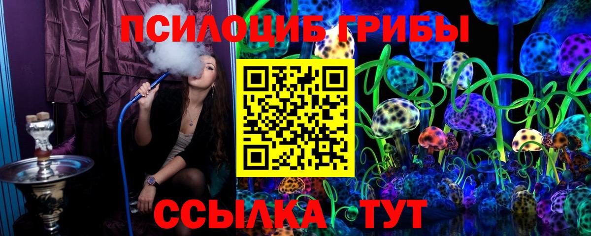 Галлюциногенные грибы Psilocybine cubensis Грозный